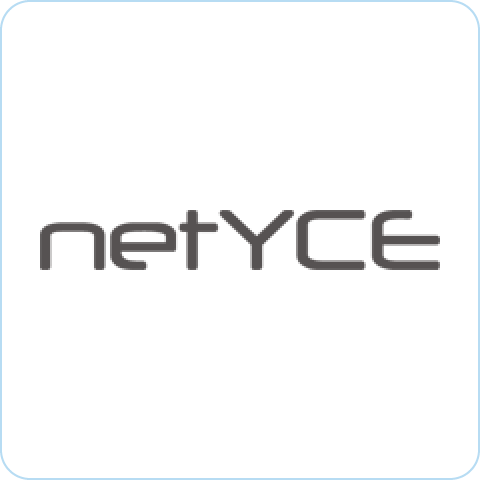 NetYCE logo
